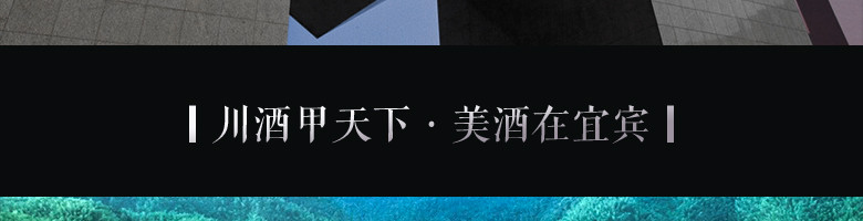 52°五粮液股份密鉴酒水（鉴赏·艺术）500mlX6瓶/箱 【全国包邮】