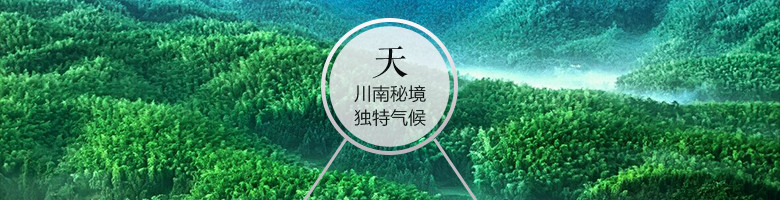 52°五粮液股份密鉴酒水（鉴赏·艺术）500mlX6瓶/箱 【全国包邮】