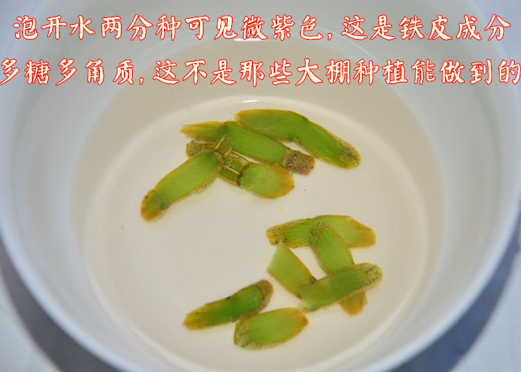 雁荡山铁皮石斛鲜条500g