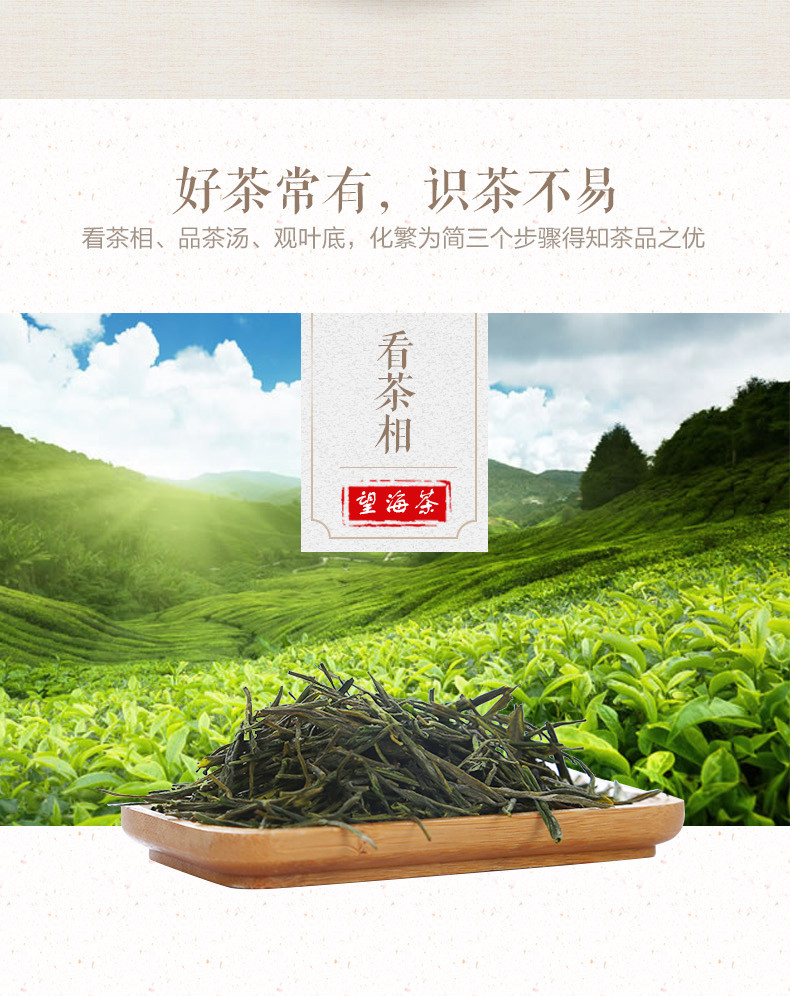 宁海特产望海茶茶叶 二级绿茶 50克 2016耐泡高山茶 春茶袋装