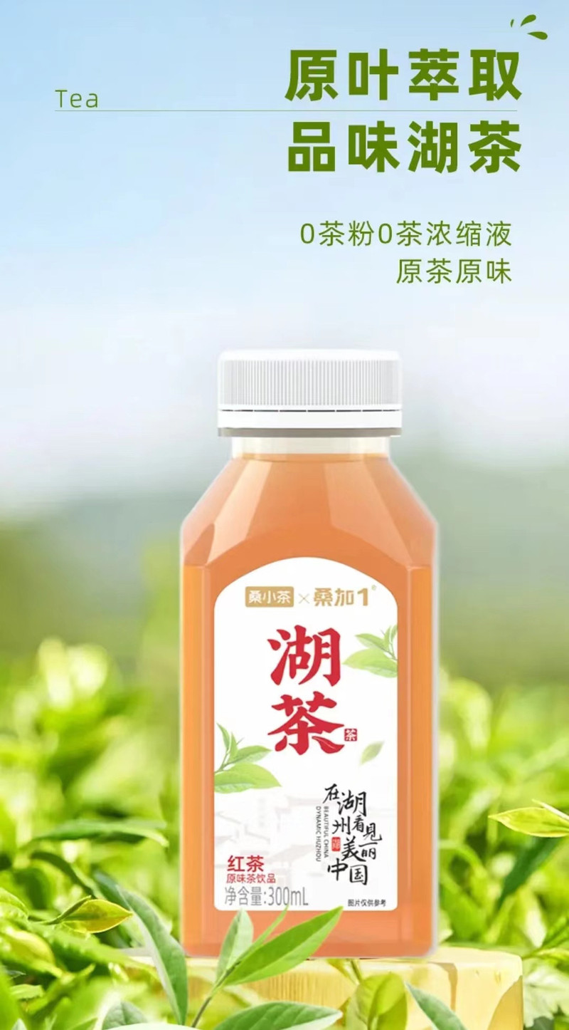 桑加1 桑小茶乌龙茶/茉莉花茶/红茶饮料整箱15瓶