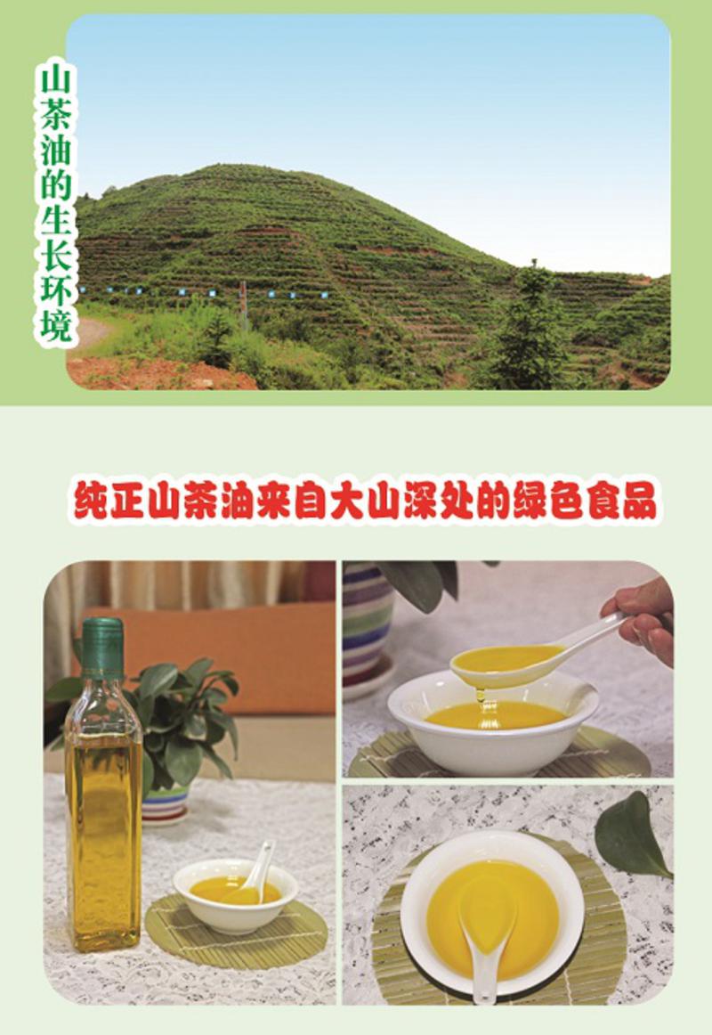 老俵情 南康 麻双乡麻姑山茶油   深山野生   500g