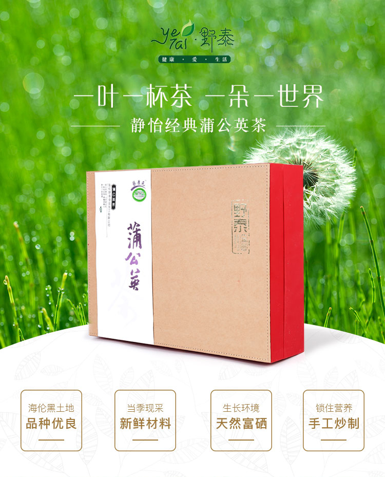 野泰静怡蒲公英茶12g*20袋*2盒