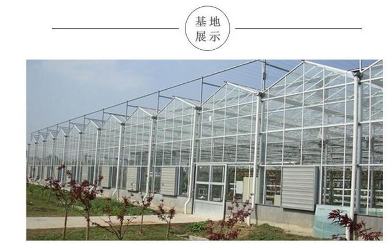 【多肉植物】种植新手组合盆栽diy套餐  8个装