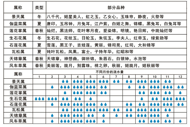 锦上多肉土2升培植用营养土专业配方介质