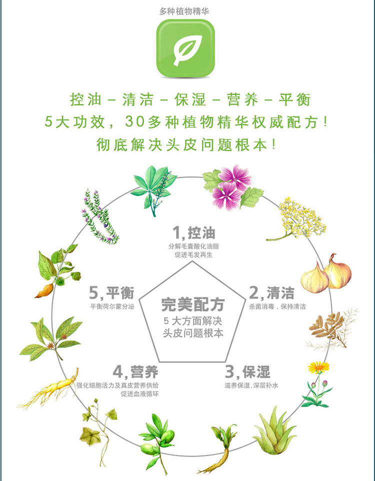 REnex力格仕 植物滋养洗发液/洗发水 孕期洗发水 500ml