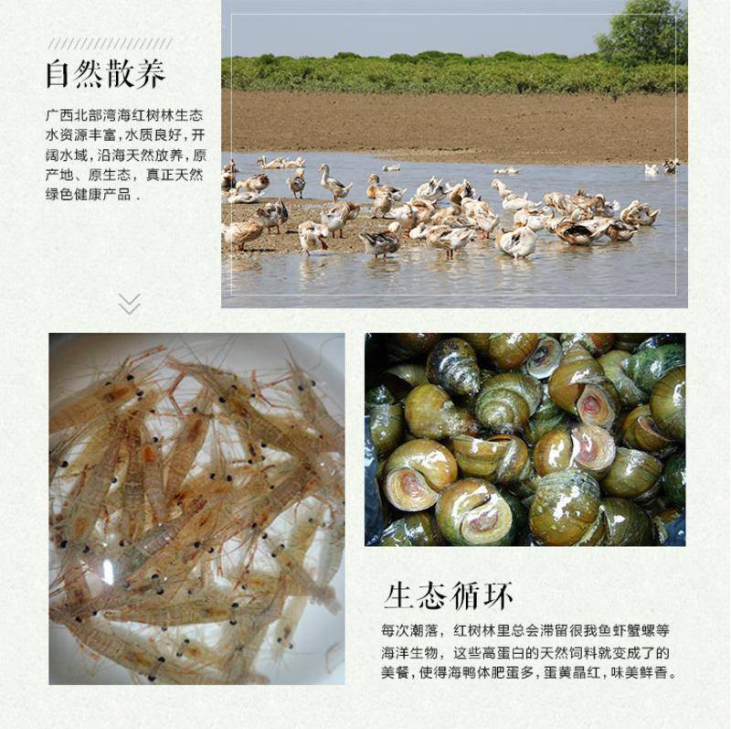  邮鲜生 正宗广西北部湾红树林烤海鸭蛋20枚开袋即食 20枚*60g