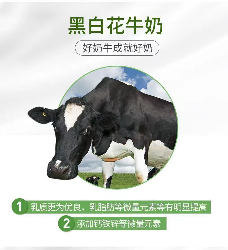 皇氏乳业 铁锌牛奶200ml*15盒【保质期至7月20日】【防城港仓】