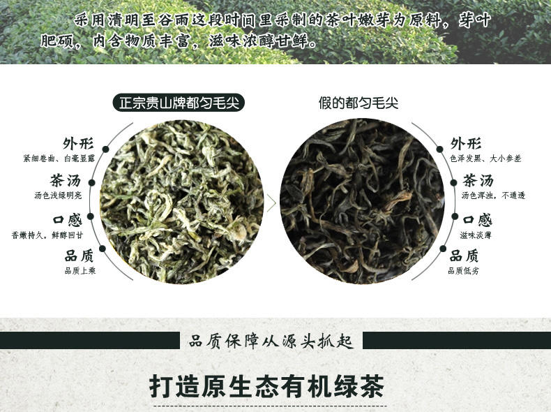 贵山都匀毛尖2015新茶嫩芽 明前特级茶叶绿茶 有机绿茶毛尖礼盒