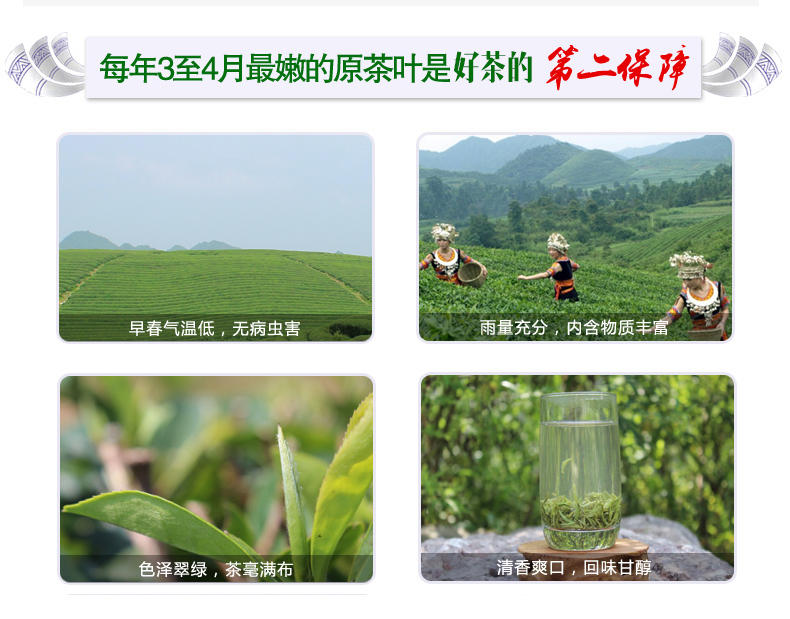 贵山都匀毛尖经典盒装一级 2017雨前有机新茶春茶嫩芽