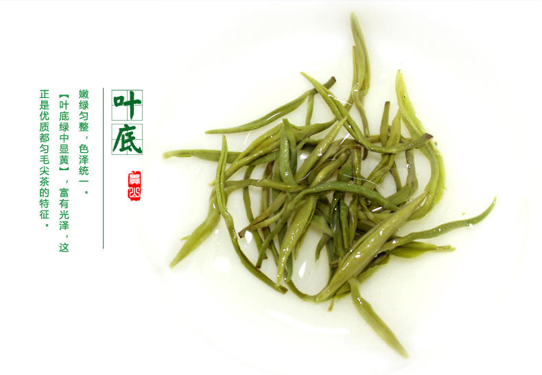 贵山都匀毛尖经典盒装一级 2017雨前有机新茶春茶嫩芽