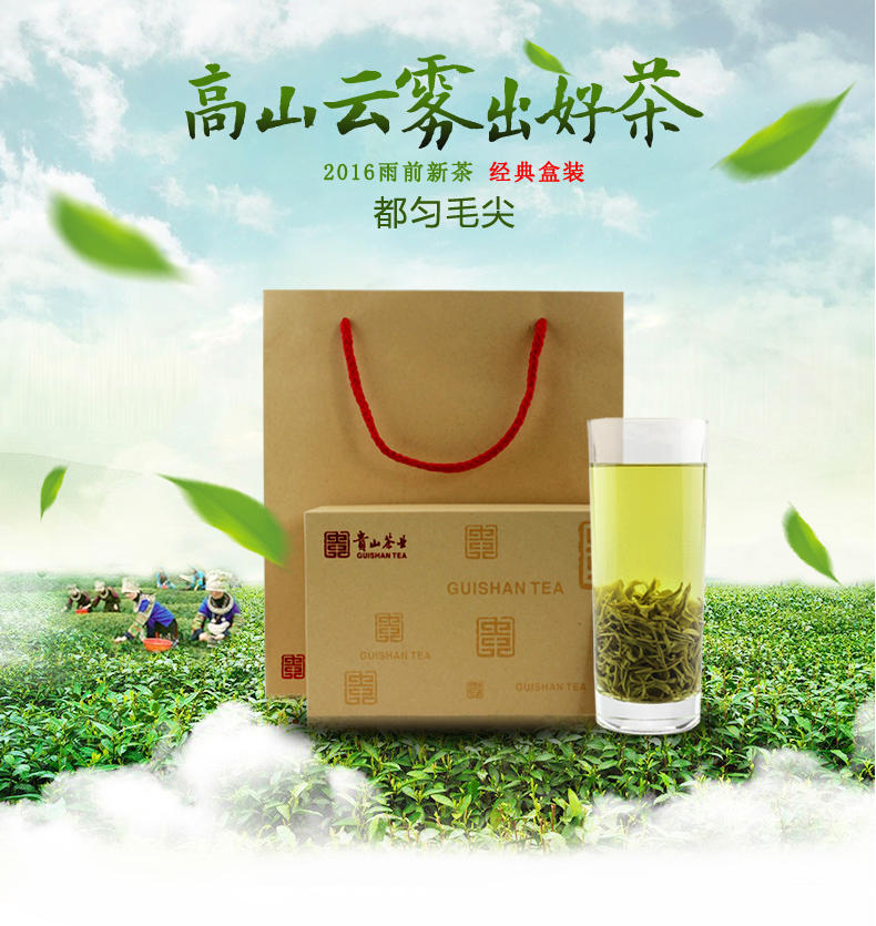 贵山都匀毛尖经典盒装一级 2017雨前有机新茶春茶嫩芽