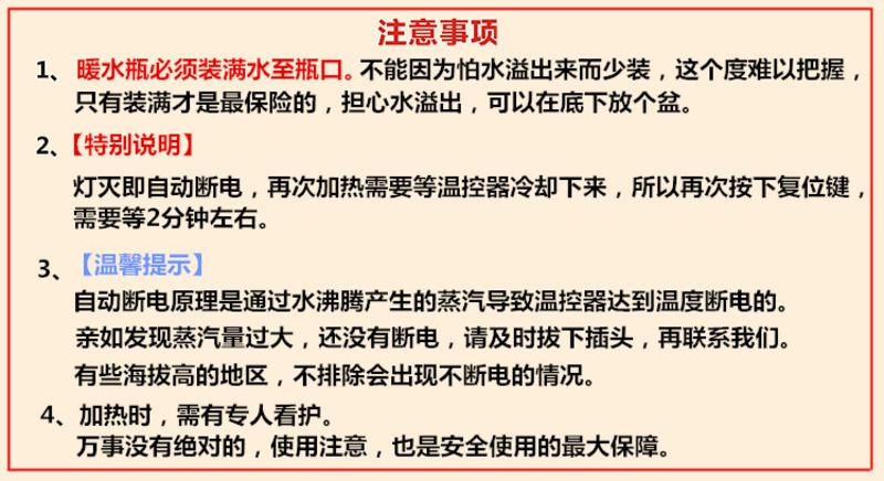  艾米娅 新韶光自动断电热得快 暖水壶不锈钢烧水器 电热棒