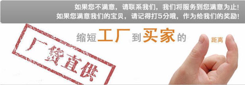 艾米娅  新韶光A4电镀热得快1200W烧水棒学生浴桶洗澡专用电热棒电热管