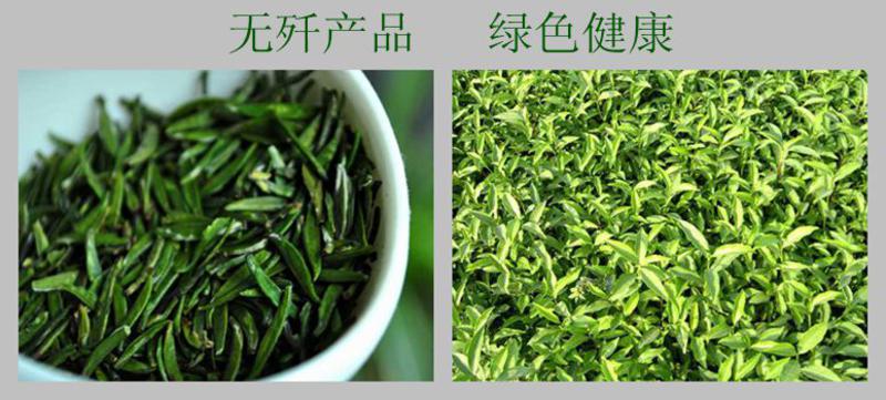 贵州爽珍 石阡苔茶特产 翠芽 绿色茶叶