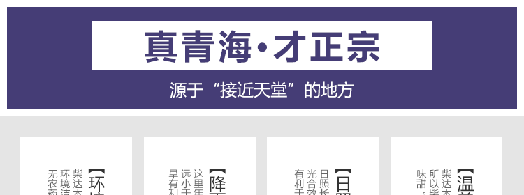 【沙坡春50gx2瓶】黑枸杞礼盒正品 青海柴达木野生黑果枸杞