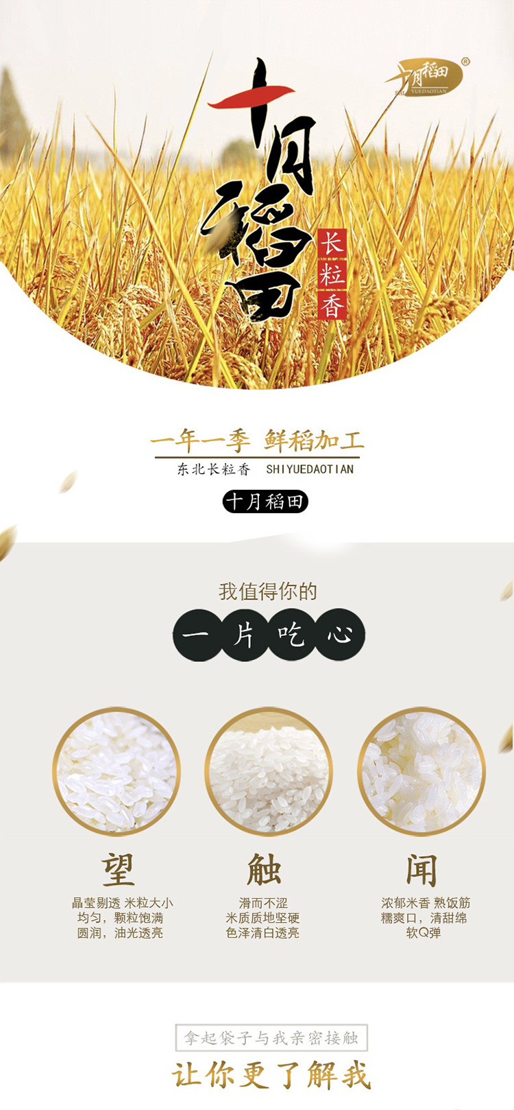 【热卖】十月稻田 长粒香米 500g*2（5月份到期）