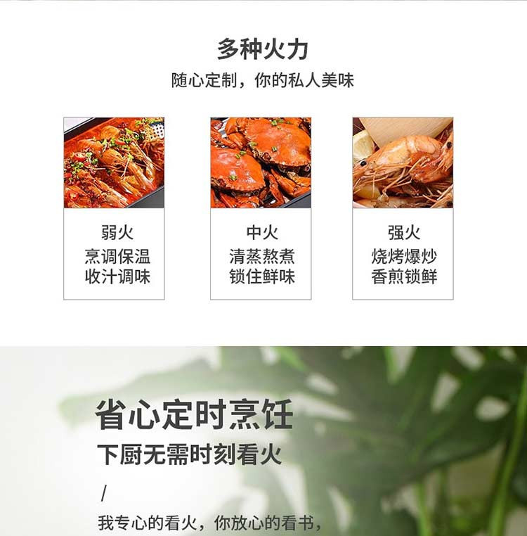 东菱 Donlim 网红款多功能料理锅煎炒蒸煮炖电火锅 DL-5701