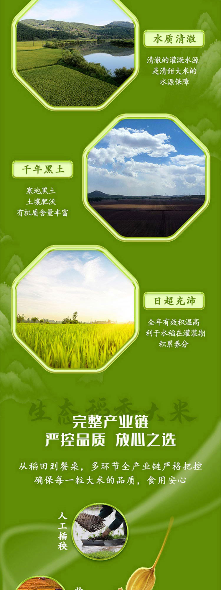 十月稻田 生态稻香大米 5kg