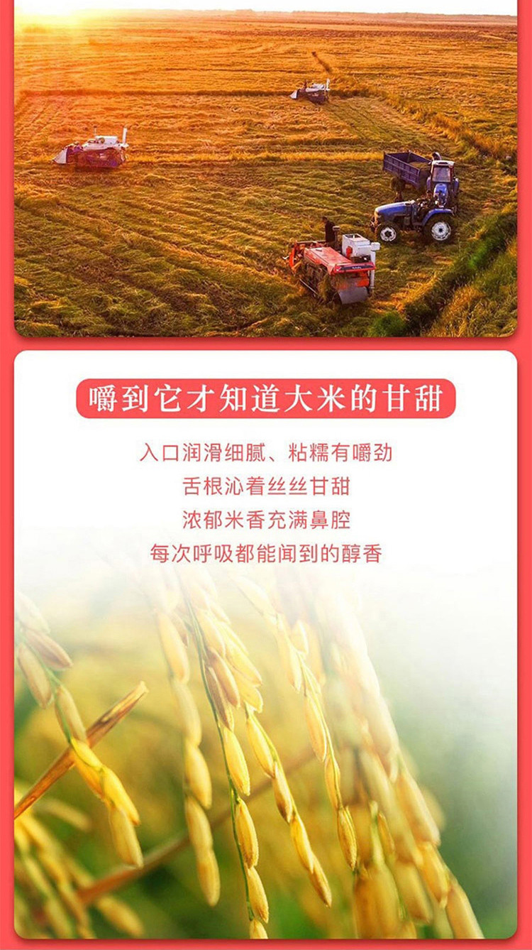 十月稻田 五常大米 5kg 虎啸北国 红色