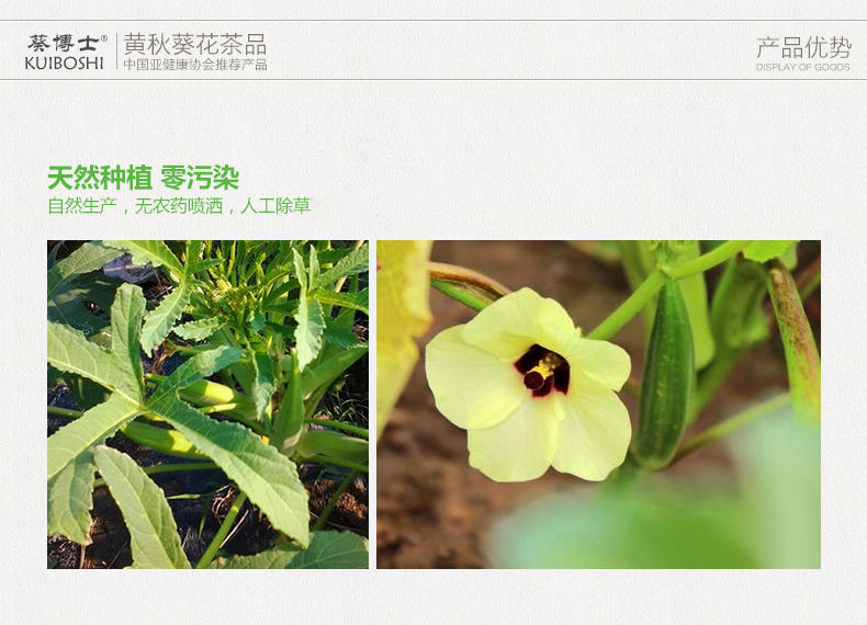 【葵博士黄秋葵花茶】秋葵茶 专做秋葵干花茶 15g 包邮礼品装