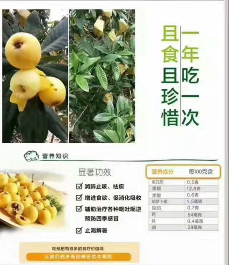 三门沙柳白玉枇杷白沙枇杷3斤包邮当应季水果仅限浙江