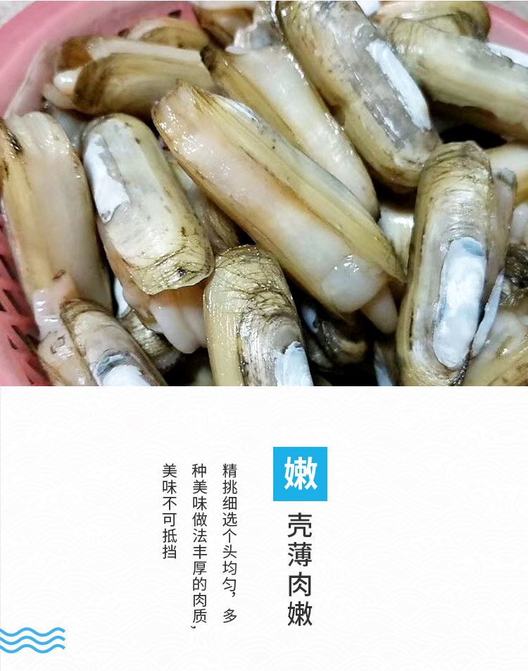 三门小海鲜 带泥蛏子 不泡水鲜活双头蛏海蚬海贝类 鲜