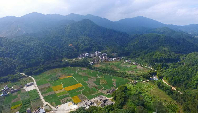 果蜂 从化高山番薯18斤装 香甜软糯【配送仅限广州地区】