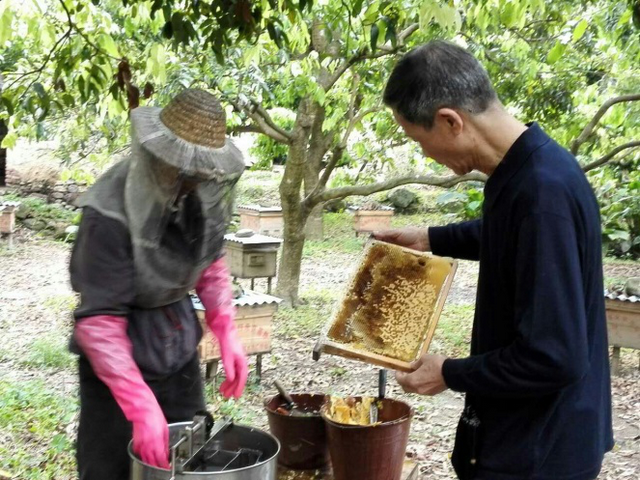 【广州馆】果蜂 从化原生态蜂蜜500克*2瓶装