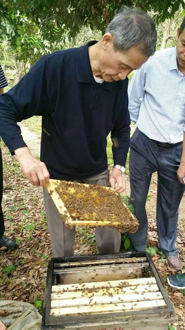 【广州馆】果蜂 从化原生态蜂蜜500克*2瓶装