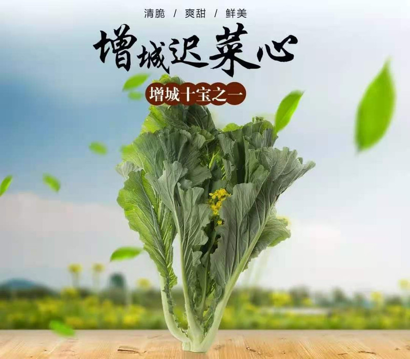 正旭 【广州馆】增城迟菜心优选3斤装 HP