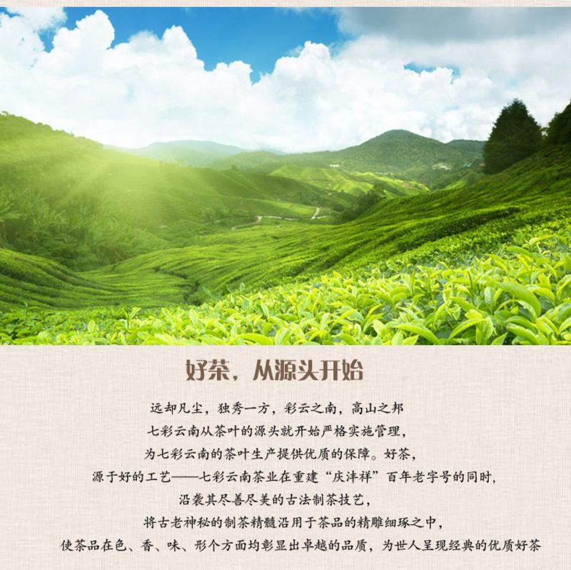 七彩云南月光金枝60克（红茶） 大叶滇红茶 散茶袋装