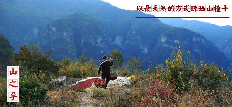 山之孕纯天然山楂条 无添加琼脂山楂条 新鲜果脯 酸甜可口 开胃零食 500g*3袋