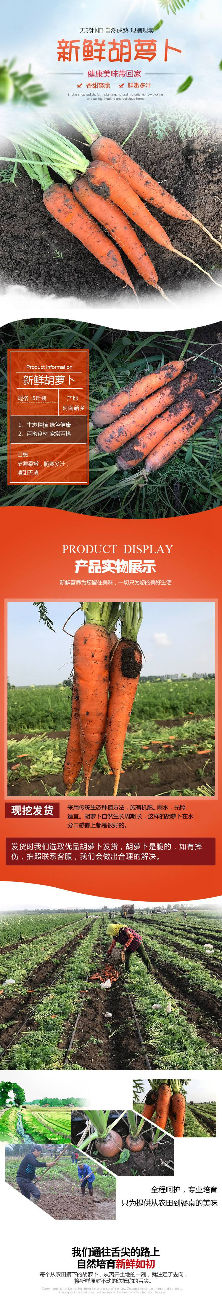 【爱心助农】新鲜胡萝卜5斤装带泥红萝卜农家新鲜水果蔬菜不水洗