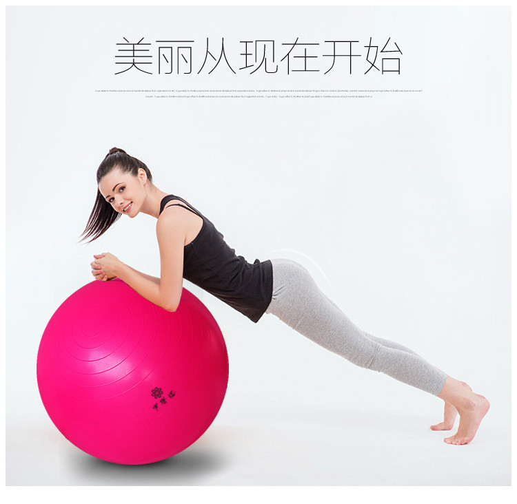 罗赛塔 瑜伽健身球D75cm（含高级脚踏式打气筒，专用气拔） 加厚健身球 男女通用弹力球