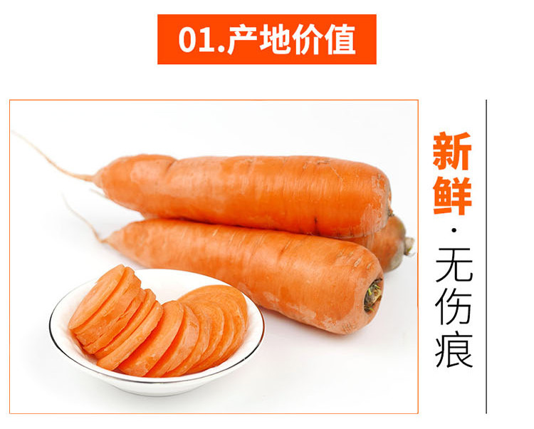 农家自产 胡萝卜6斤 农家蔬菜红萝卜新鲜胡萝卜