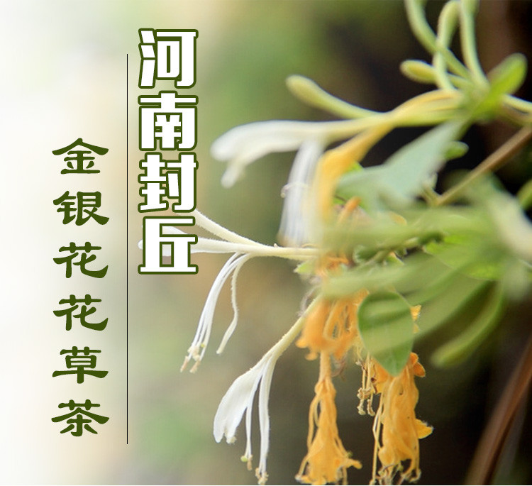 农家自产  金银花 30克/袋 散装袋装河南封丘金银花花草茶