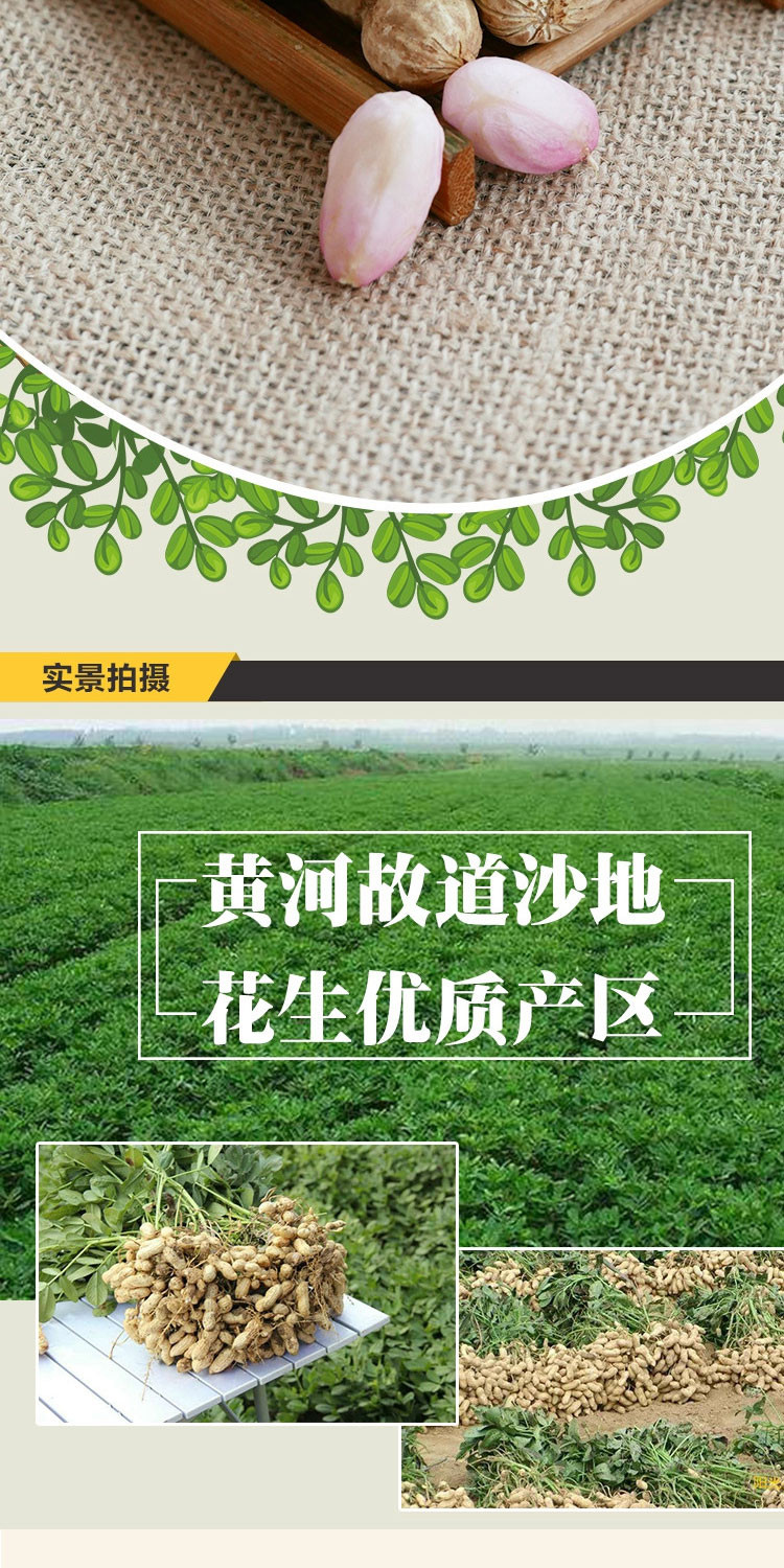 【919爆款】农家自产 黄河故道沙地花生5斤 生花生 带壳自产农家自种