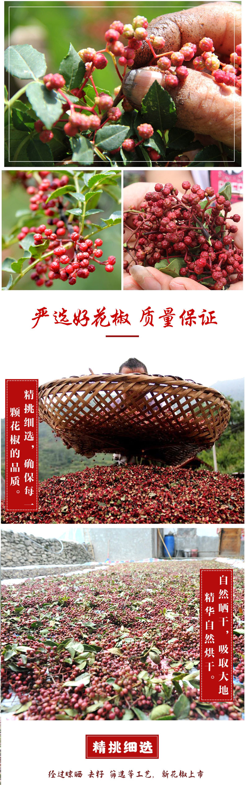 DL农家自产  太行山南寨大红袍花椒250克 花椒藤椒麻椒调味品
