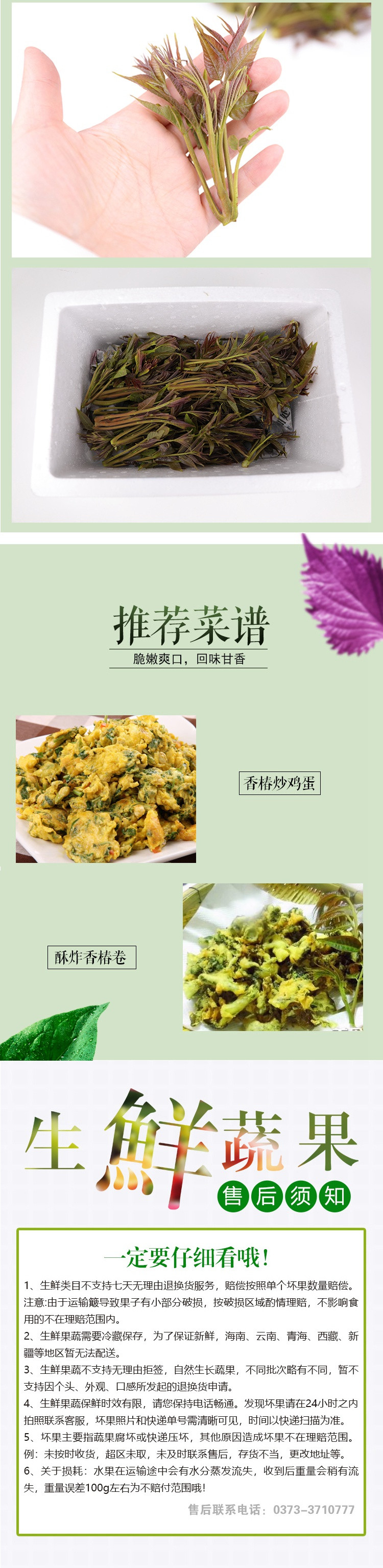 DL农家自产 2020年太行山香椿芽1000克 新鲜野菜头茬现摘