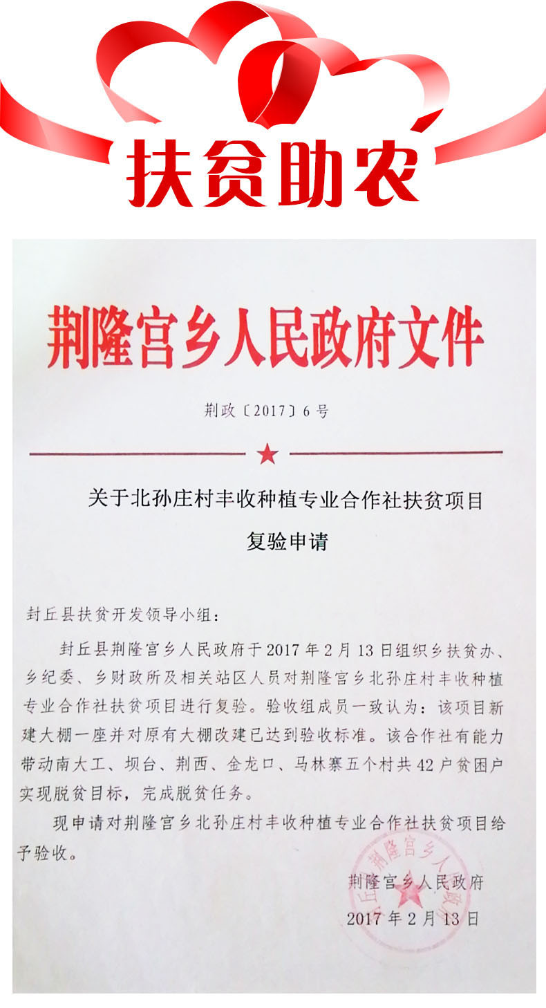 【扶贫助农】御禅 甘蓝菜4个 圆白菜卷心菜包菜莲花白泡菜农家自种现摘约10斤