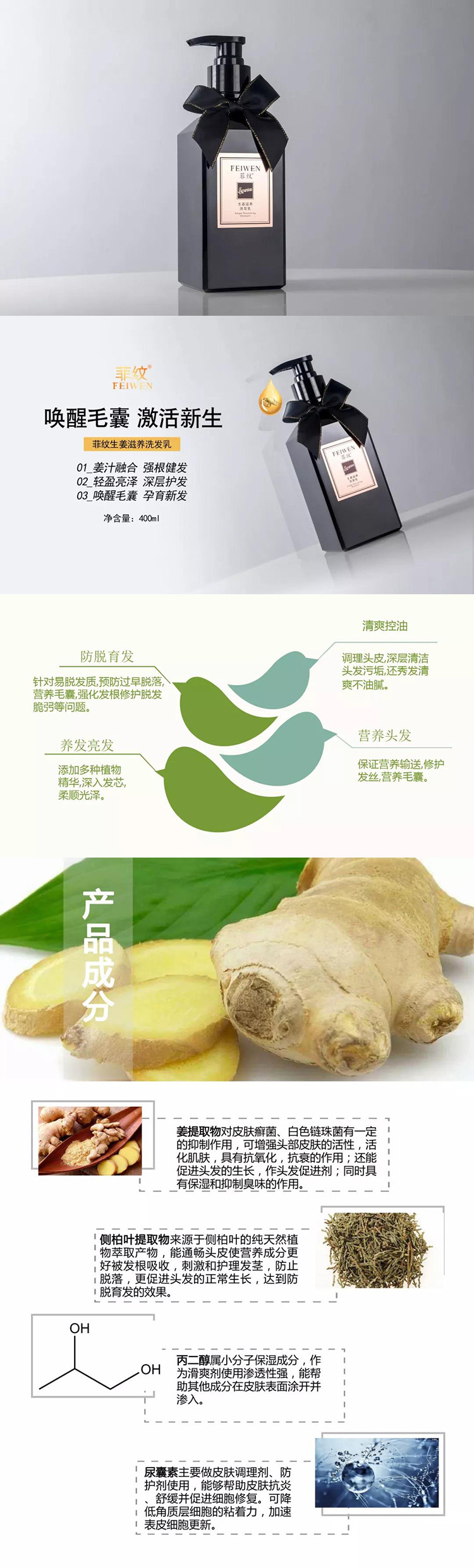 菲纹 洗发水400ml 控油去屑止痒蓬松持久生姜防脱洗发露洗发乳