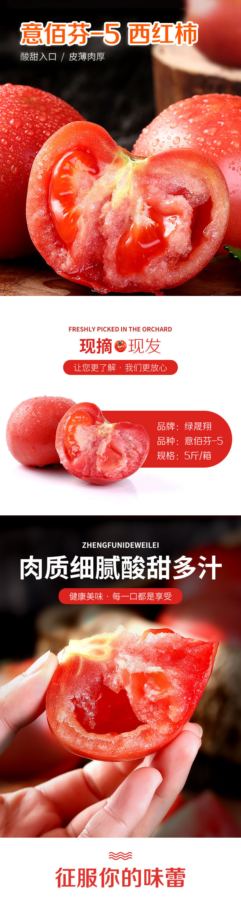 【消费扶贫】绿晟翔 西红柿5斤/箱 番茄5斤农家蔬菜水果当季
