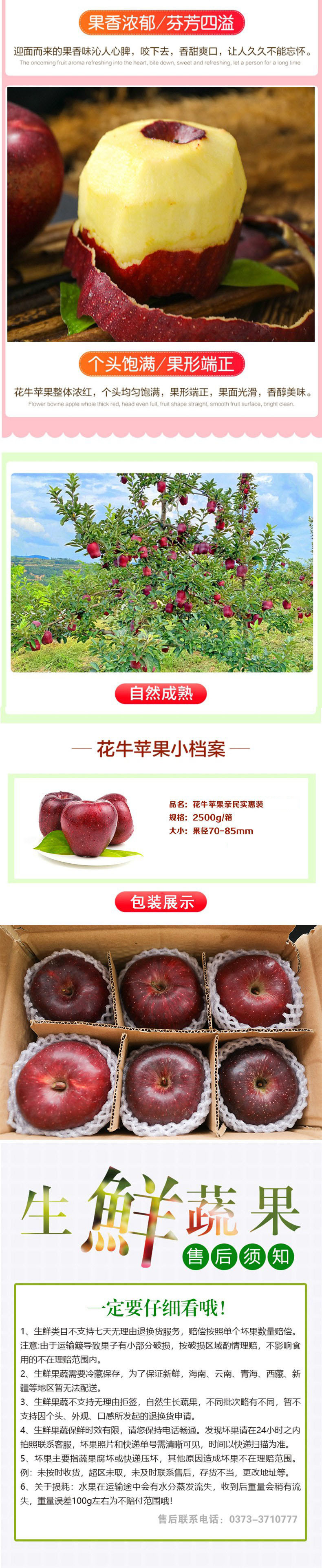 农家自产 花牛苹果亲民实惠装生鲜苹果新鲜水果（果径70-85mm）2500g/箱