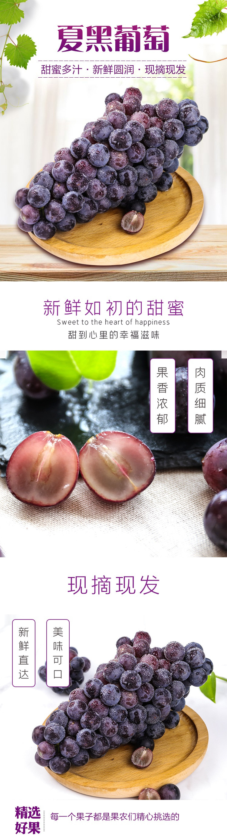 农家自产  夏黑葡萄 新鲜水果 特产当季应季夏黑红提子1500g/箱