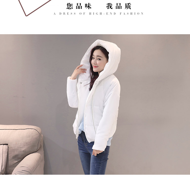 JEANE-SUNP 2016年冬季时尚短款修身棉衣通勤韩版宽松棉服