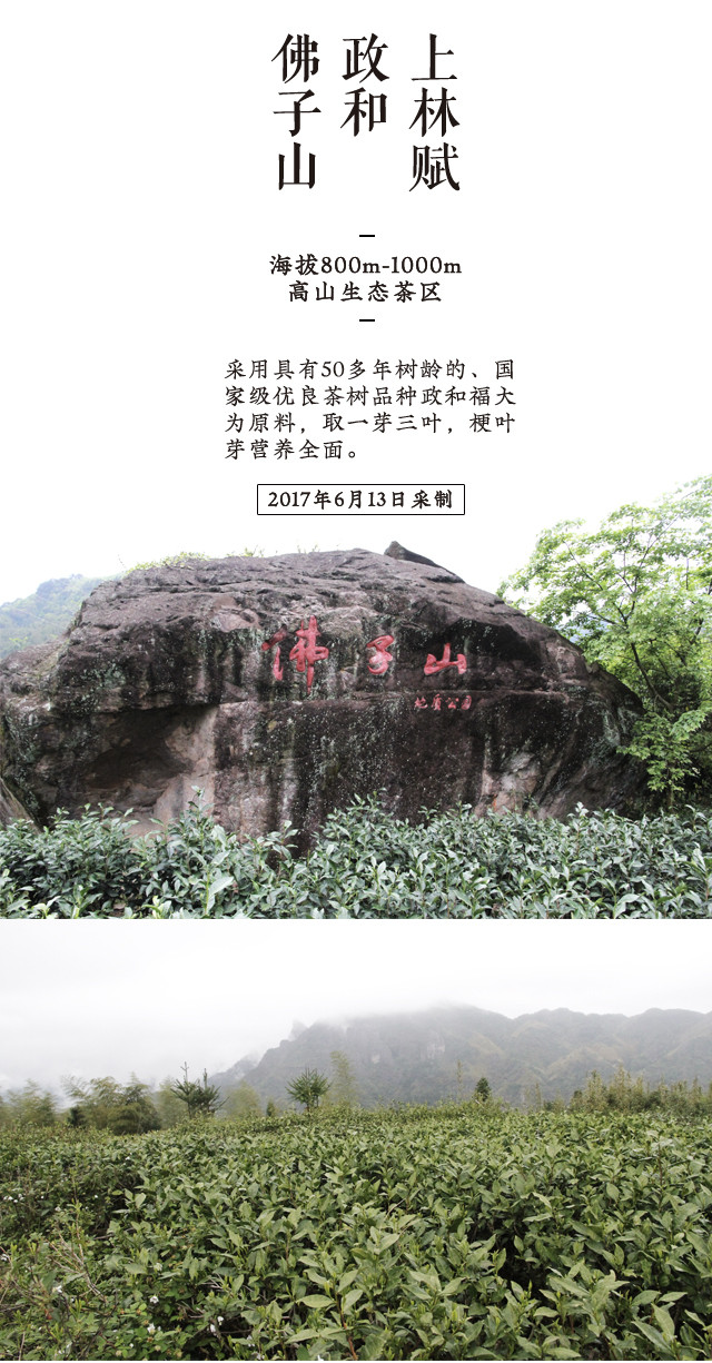 【衢州邮政】2017高山寿眉 政和白茶 茶饼80g
