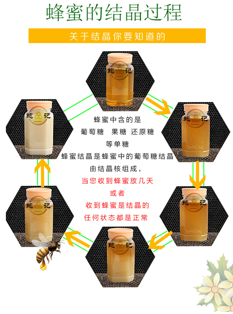 鲍记野生土蜂蜜 天然零添加蜂蜜 500克 营养滋补品