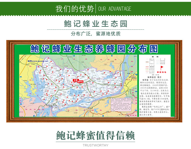 鲍记野生土蜂蜜 天然零添加蜂蜜 500克 营养滋补品