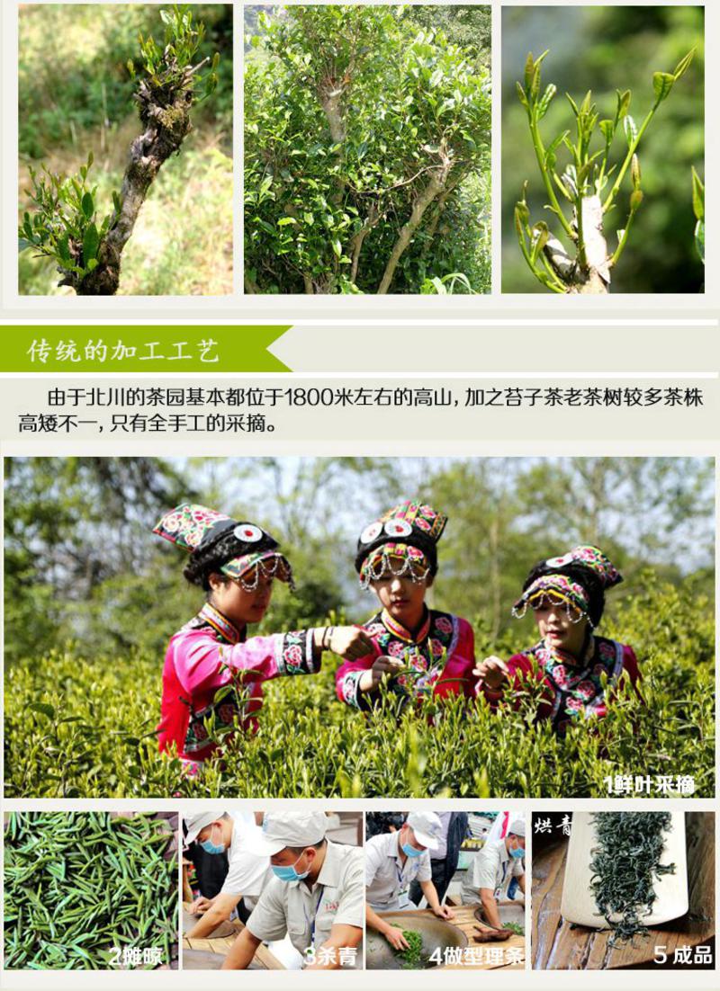 【2017新茶上市】绿茶 四川绿茶 北川高山苔子茶羌笛牌北川毛尖50g直立铁罐装